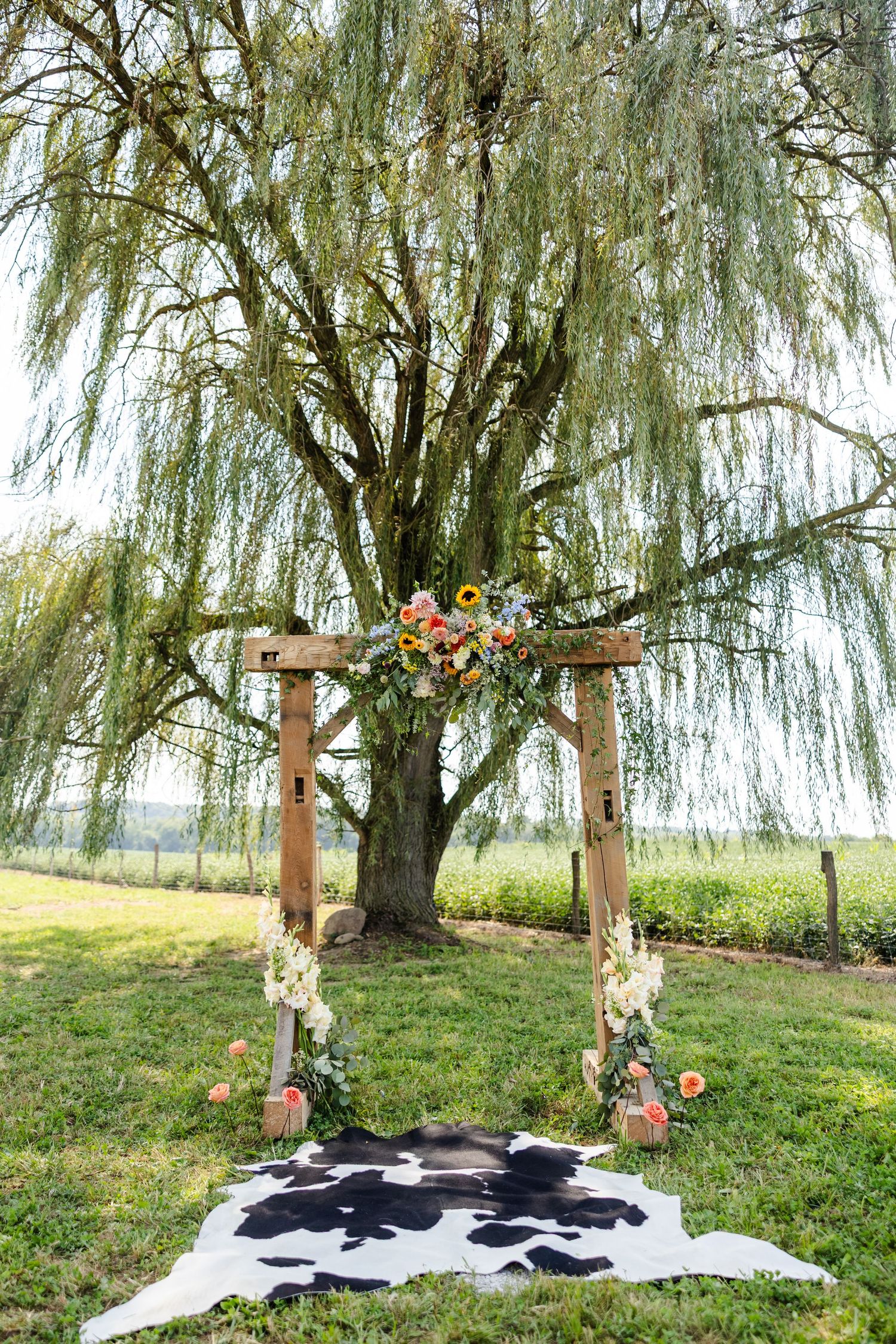 Rustic wooden wedding arch adorned with colorful flowers beside a weeping willow tree with cowhide rug.