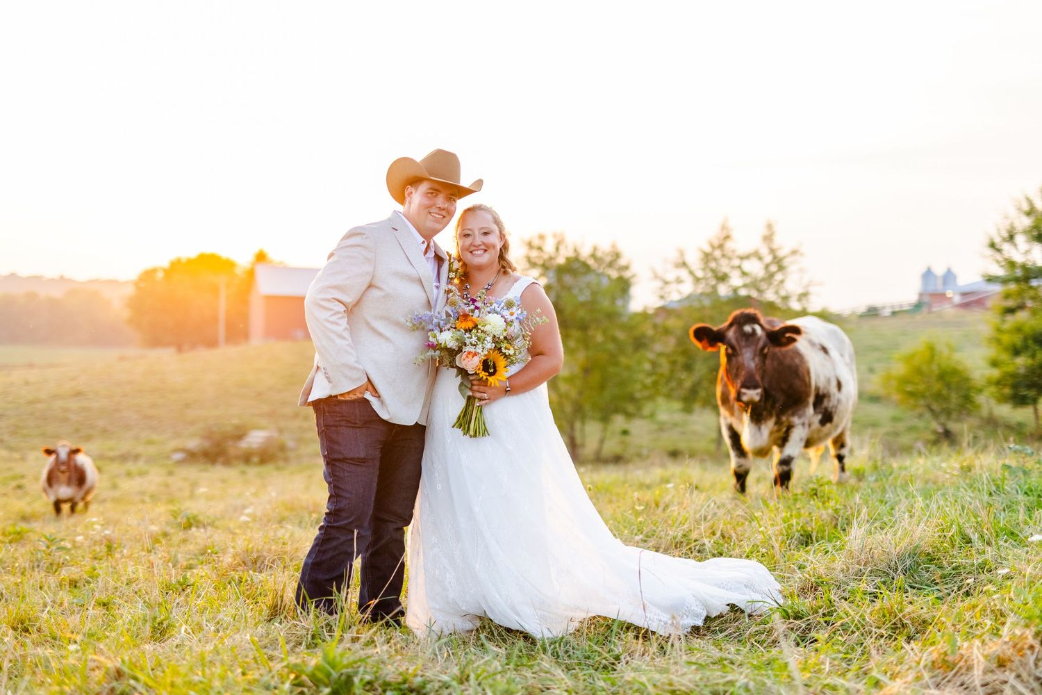 Bride and groom smiling together in a sunny field with a shorthorn cow nearby.