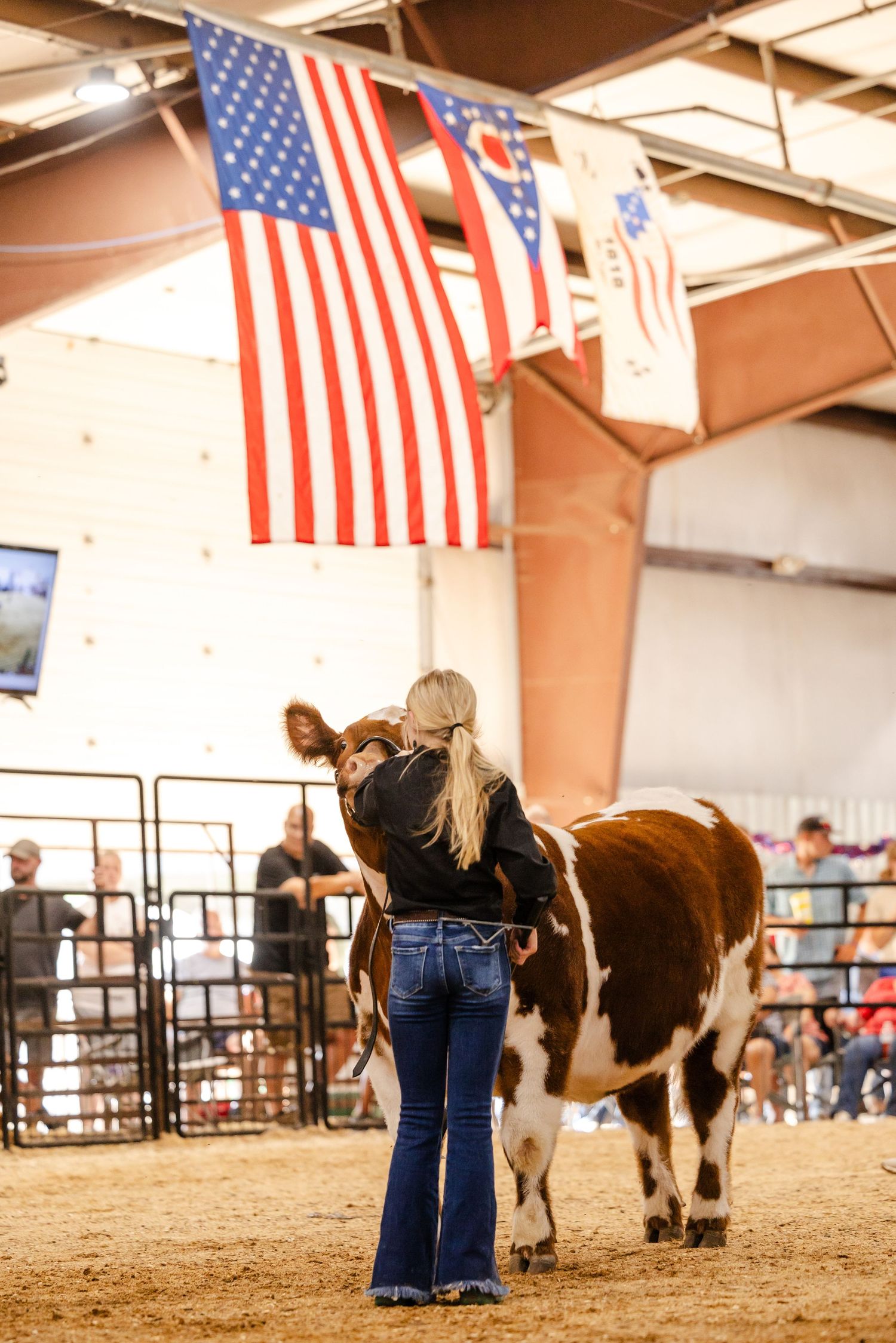 Young woman showing a brown and white cow at an indoor livestock show with American flags hanging above.