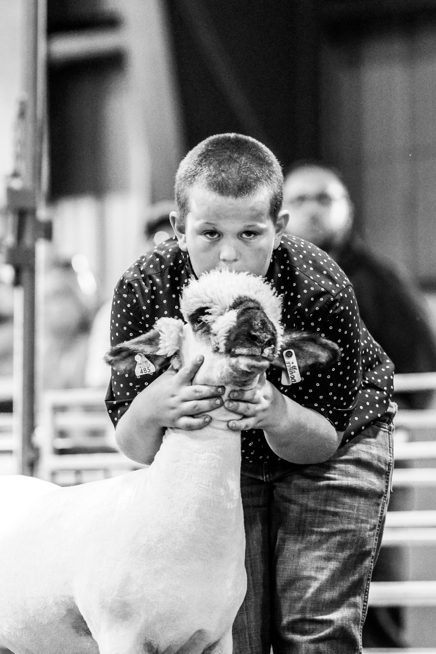 Black and white photo of a young boy holding a sheep at a livestock show competition.