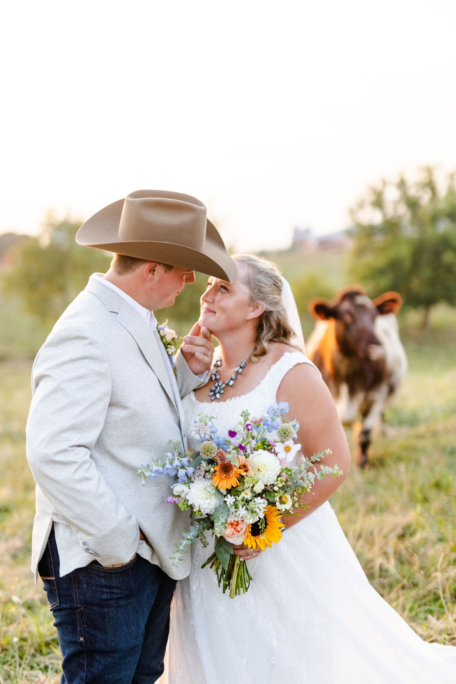 Bride and groom share a romantic moment in a sunlit field with a shorthorn cow grazing behind them.