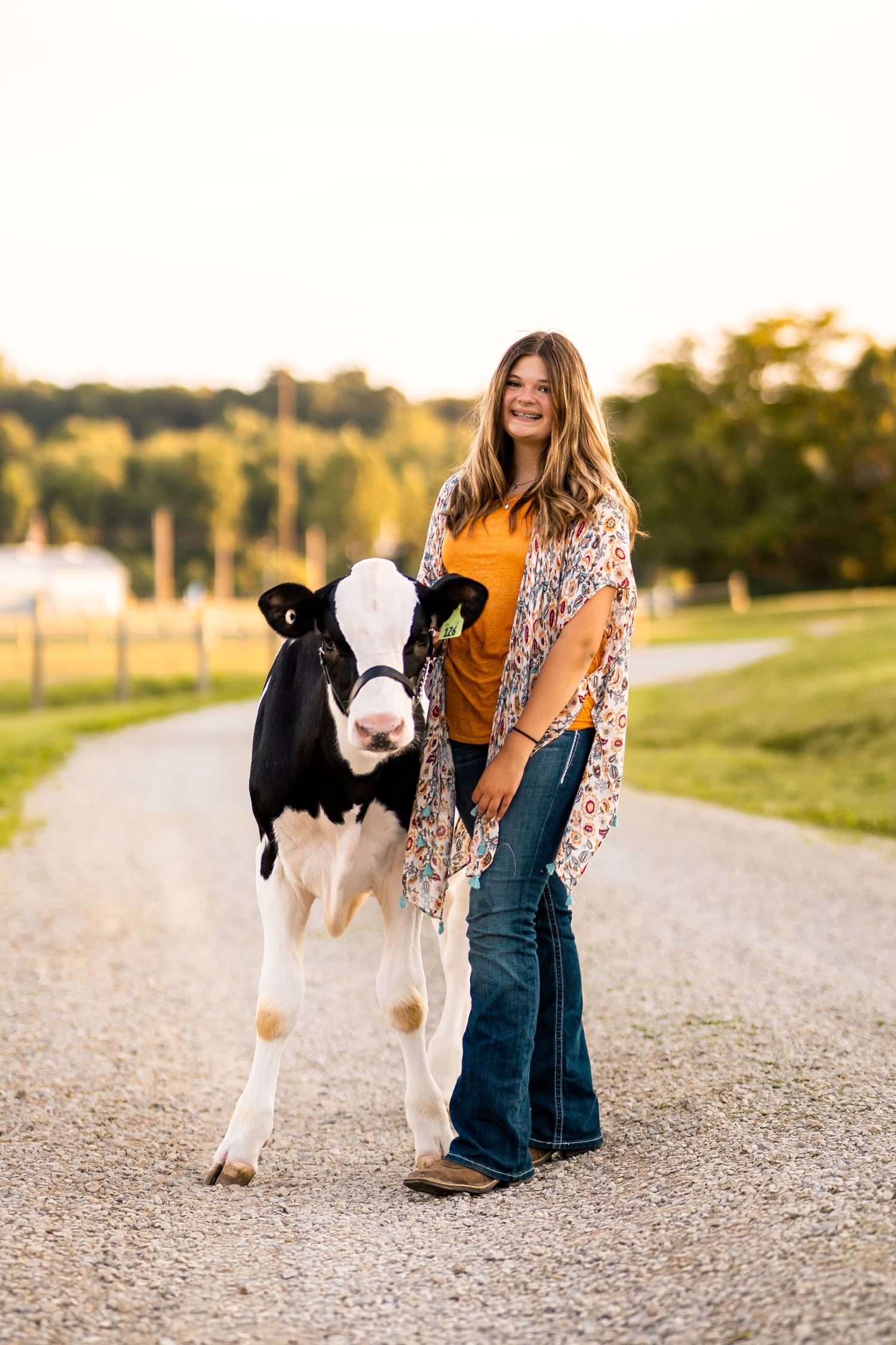 Young woman in orange shirt and jeans walks a black and white Holstein calf on a gravel farm path at golden hour.