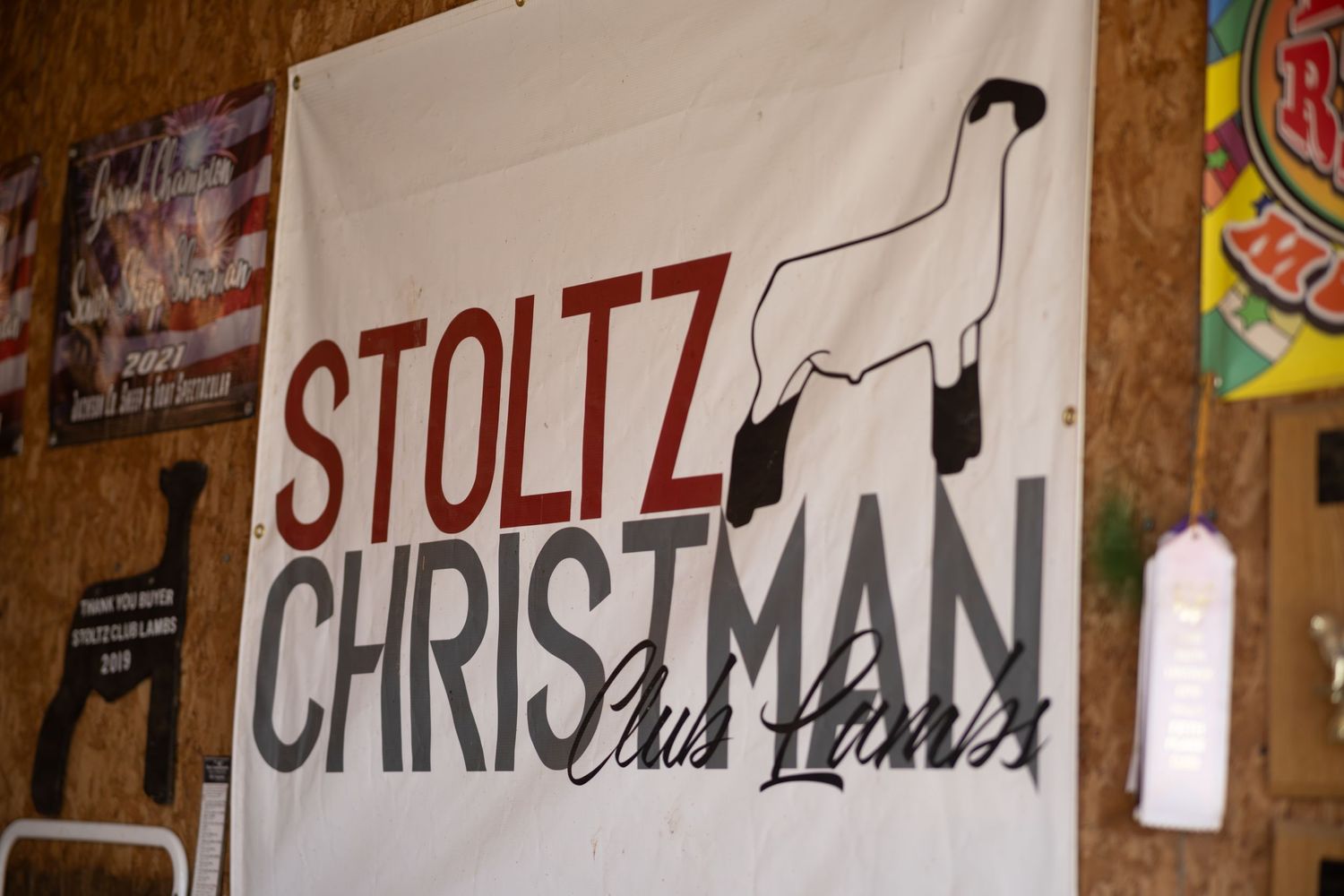 A Stoltz Christman show livestock banner hangs on a wooden wall inside a barn with ribbons nearby.