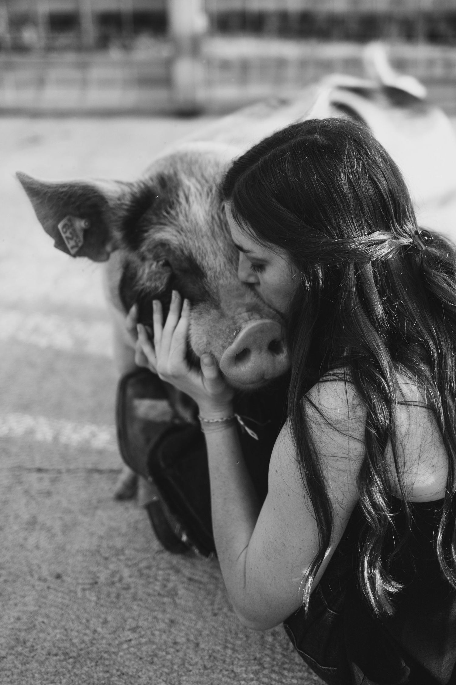Black and white photo of a young woman kissing a pig on a farm.