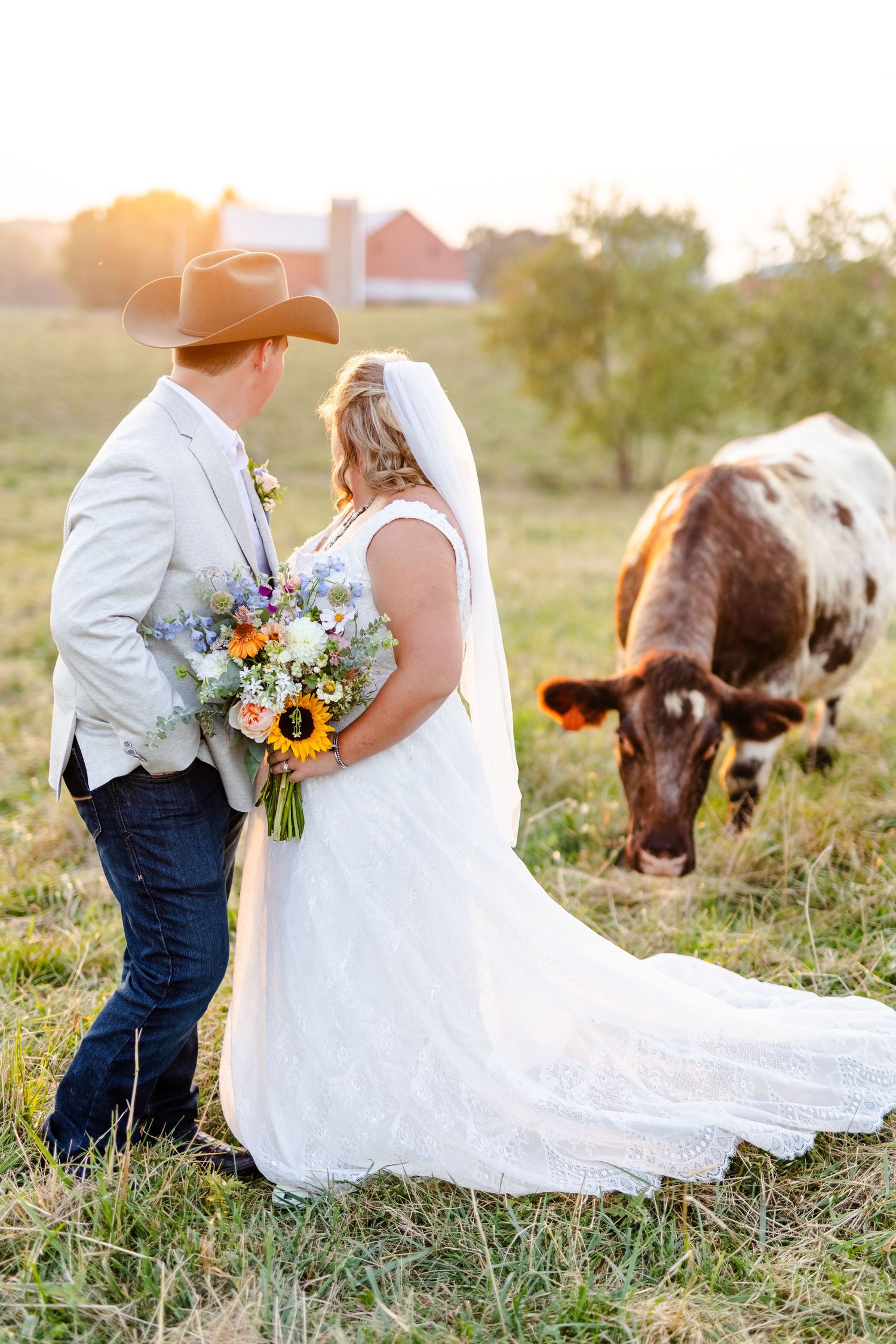 Bride and groom stand together holding a sunflower bouquet while a shorthorn cow grazes nearby at sunset.
