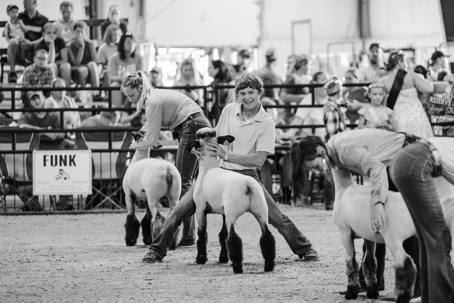 Competitors present white sheep before judges and spectators at an indoor livestock show.