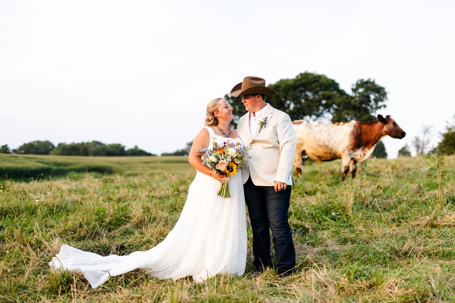 Bride and groom smile together in a farm field with a shorthorn cow at their country wedding.