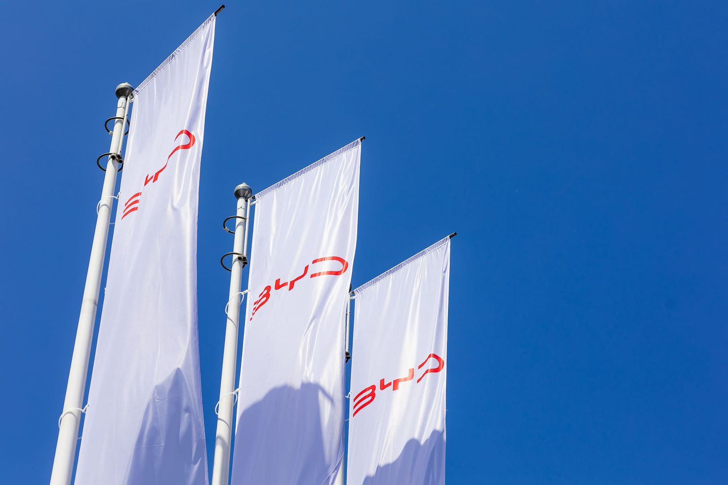 Three white BYD branded flags flying against a clear blue sky on tall flagpoles.