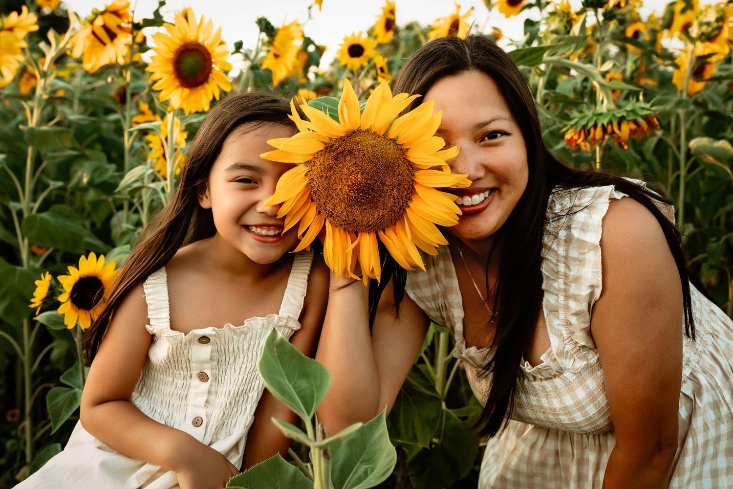 Mother and daughter laughing together holding large sunflower in a vibrant yellow sunflower field.
