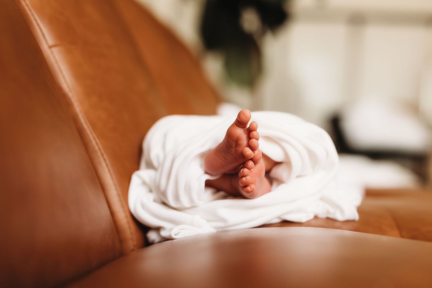 Close-up of newborn baby feet peeking out from white swaddle blanket on brown leather couch.