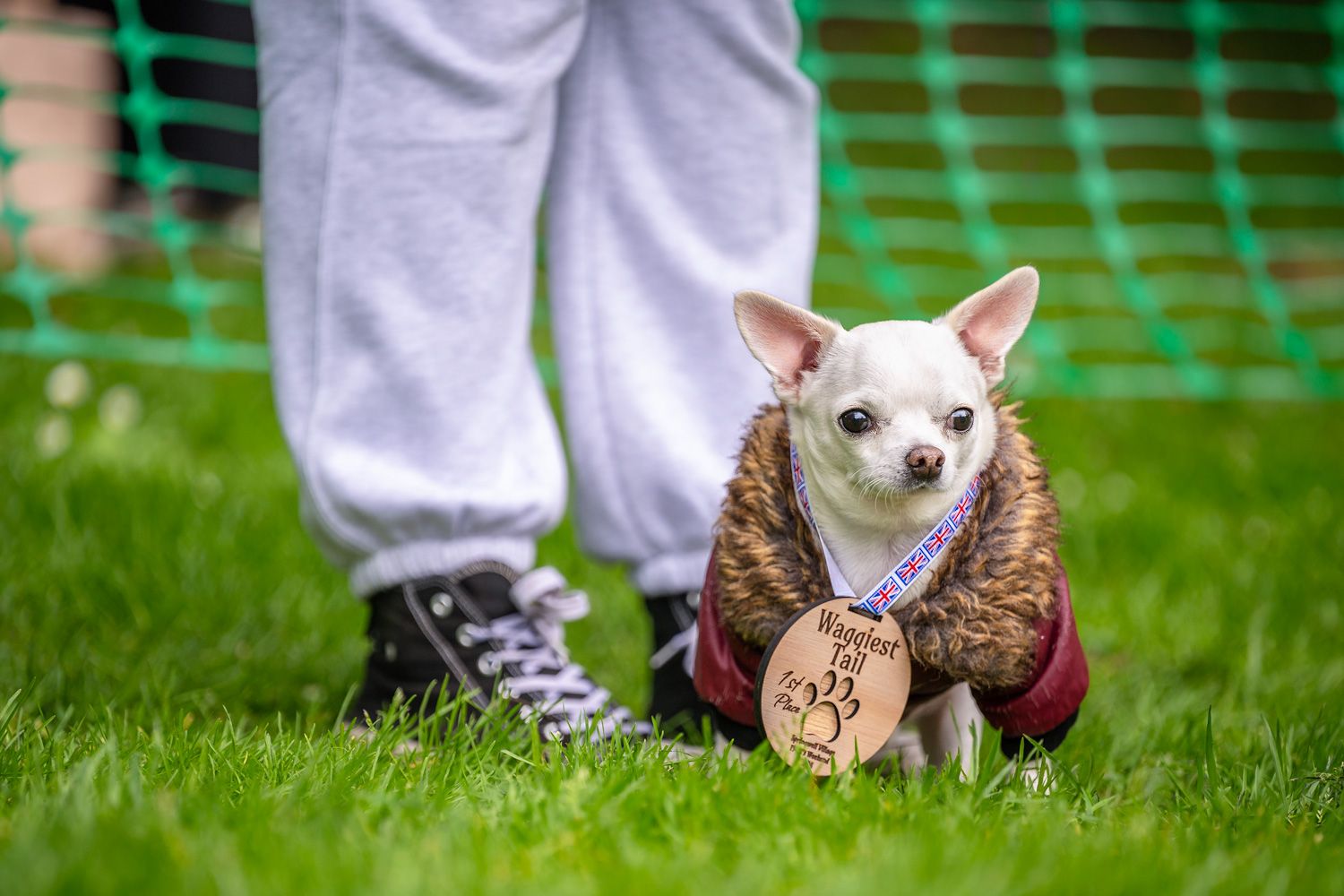 Small dog next to it's owner with a 1st place reward medal.