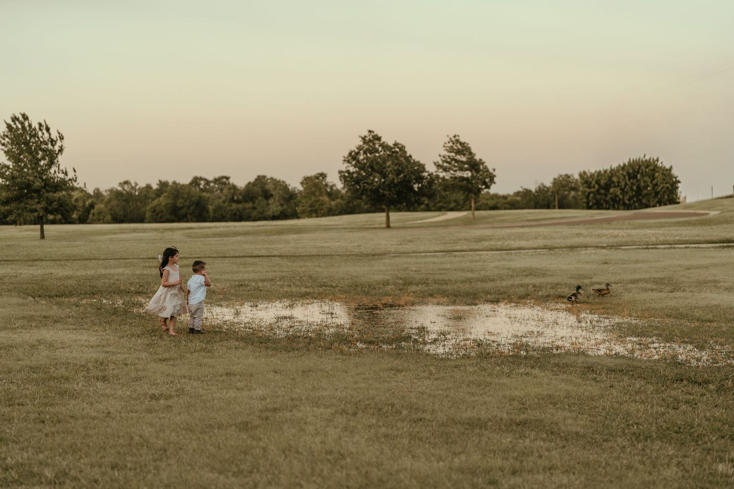 Two children walk hand-in-hand across a serene open field at dusk near a small puddle.