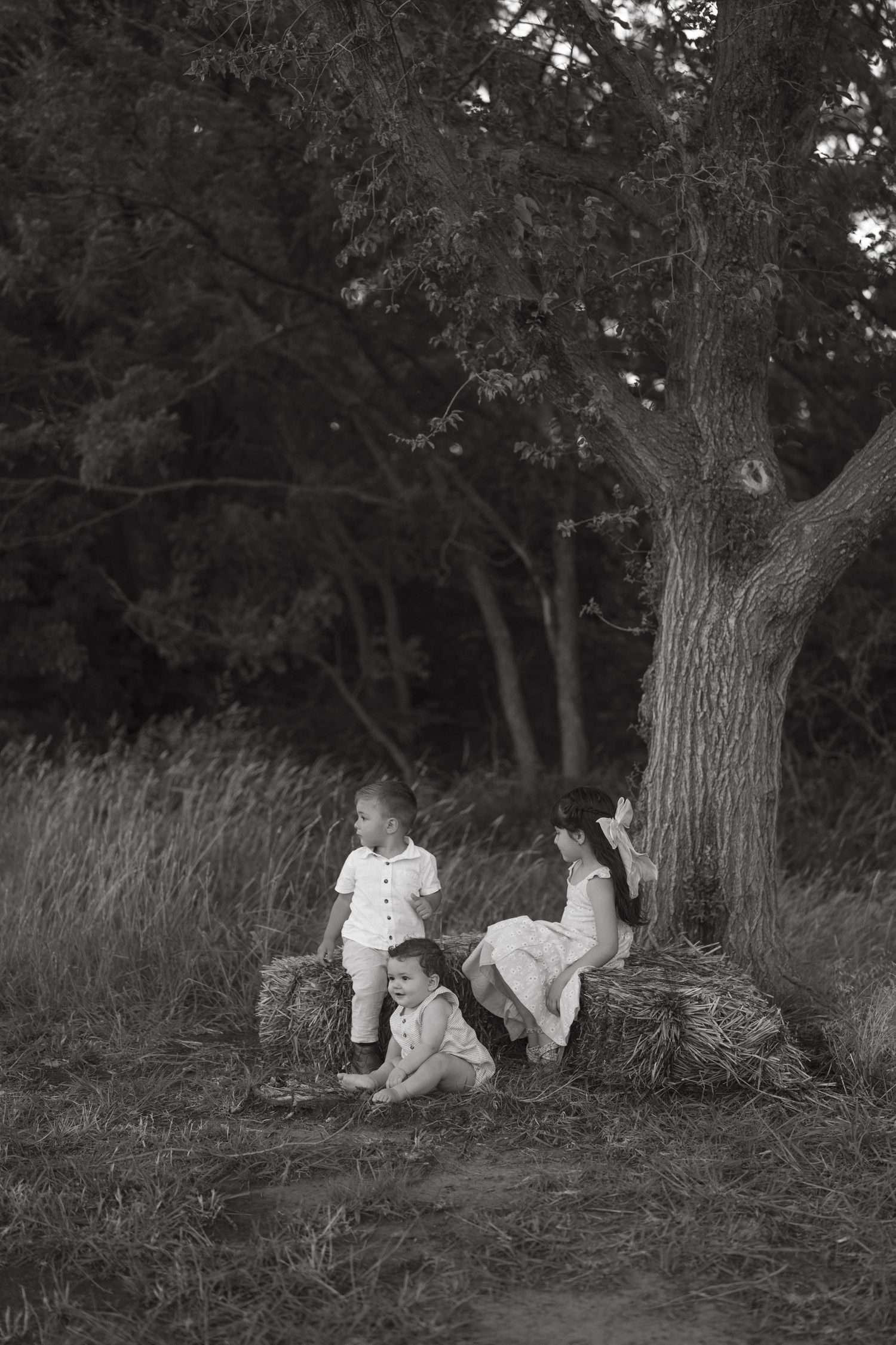 Black and white photo of three children resting on hay bales beneath a large tree in a field.
