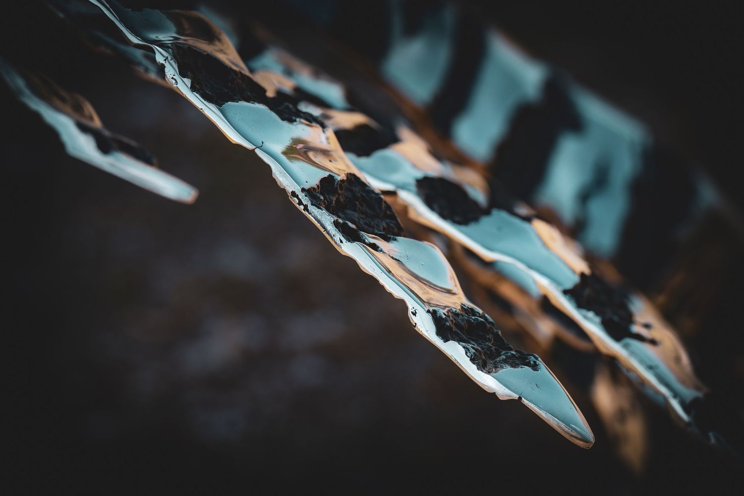 Close-up of peeling bark on a branch with dark lichen, shallow depth of field, moody dark background.