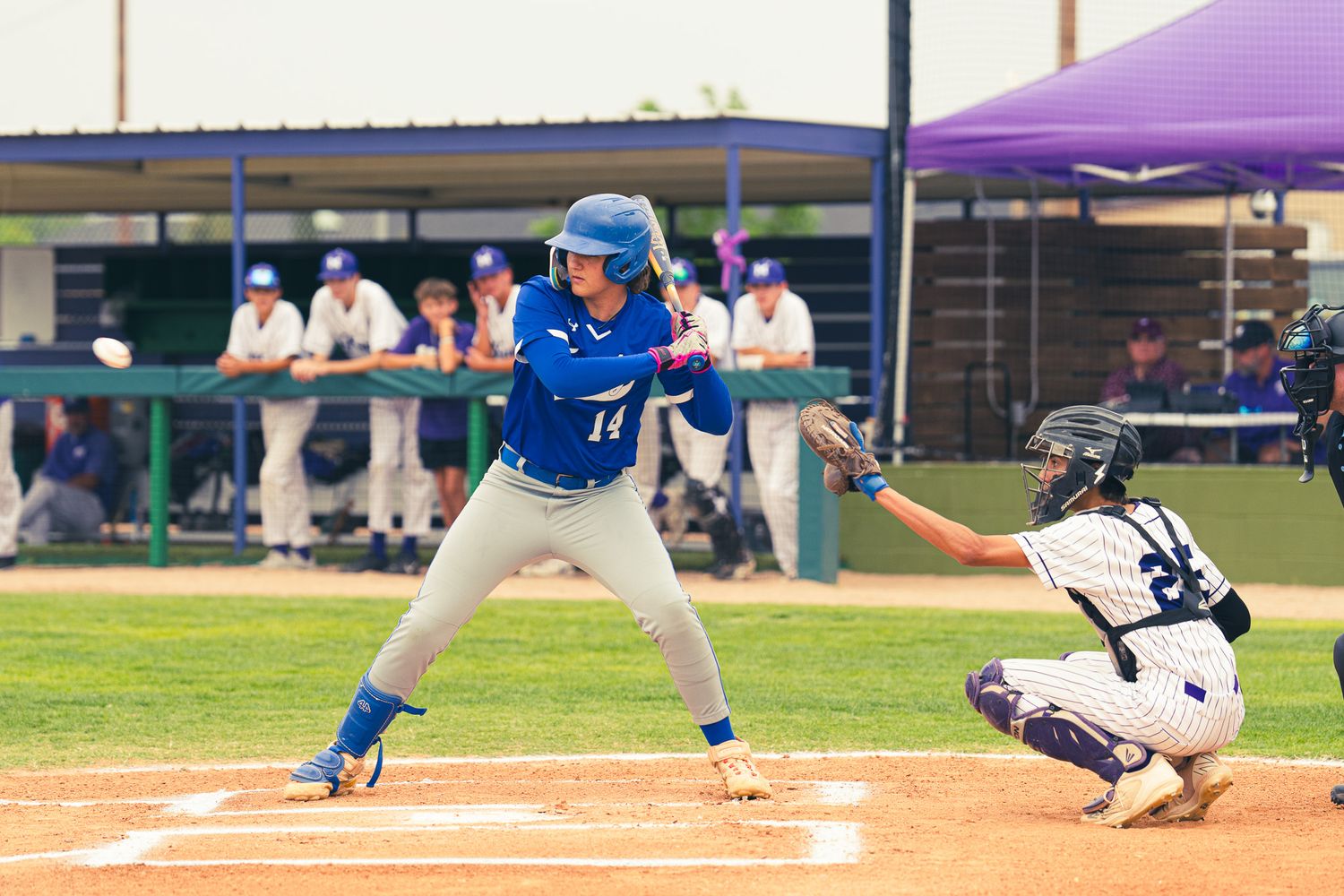 Batter in blue uniform stands ready at plate with catcher behind.