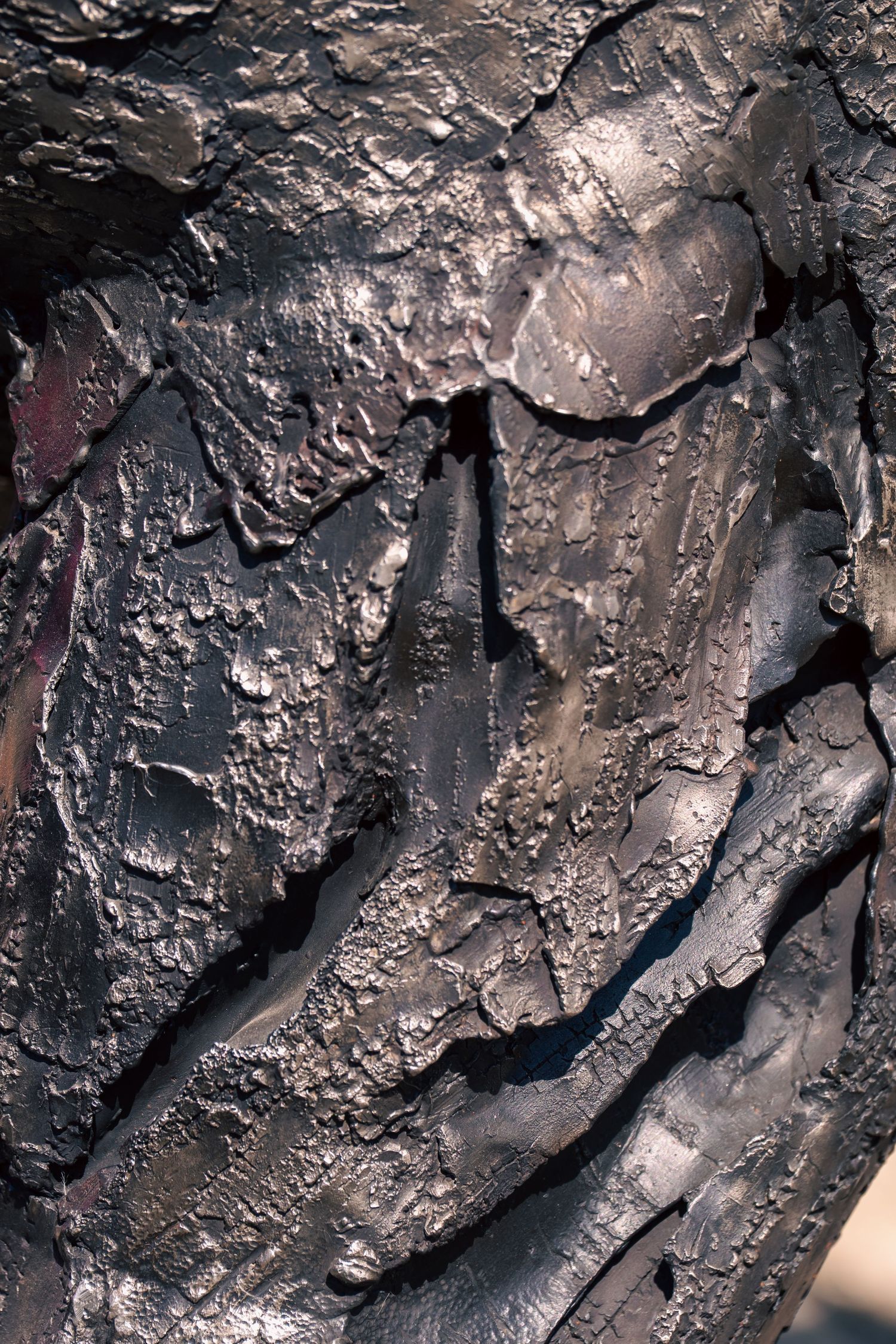 Close-up of charred, dark tree bark with rough, peeling texture and deep cracks after fire damage.