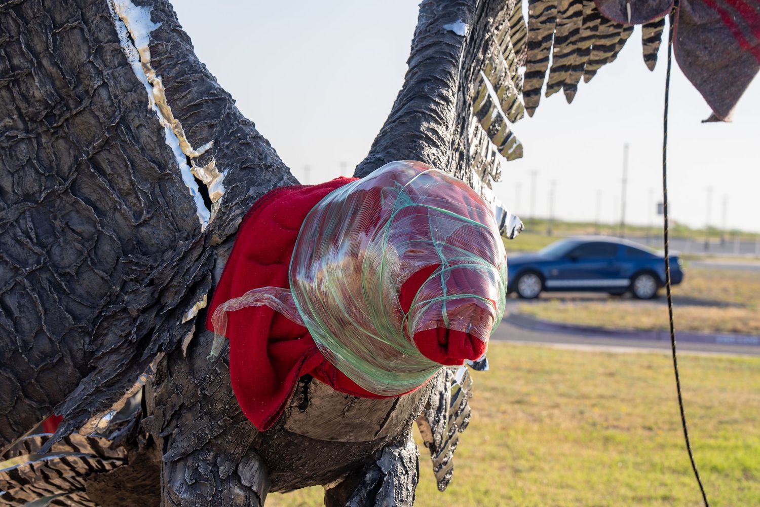 Close-up of a decorative turkey sculpture with red fabric and plastic wrap, with a blue truck visible in the background.