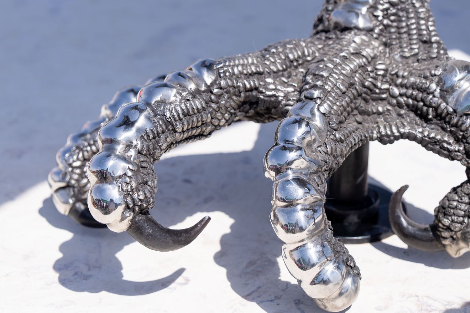 Close-up of a shiny chrome metal dinosaur claw sculpture with detailed scales and sharp talons on white surface.