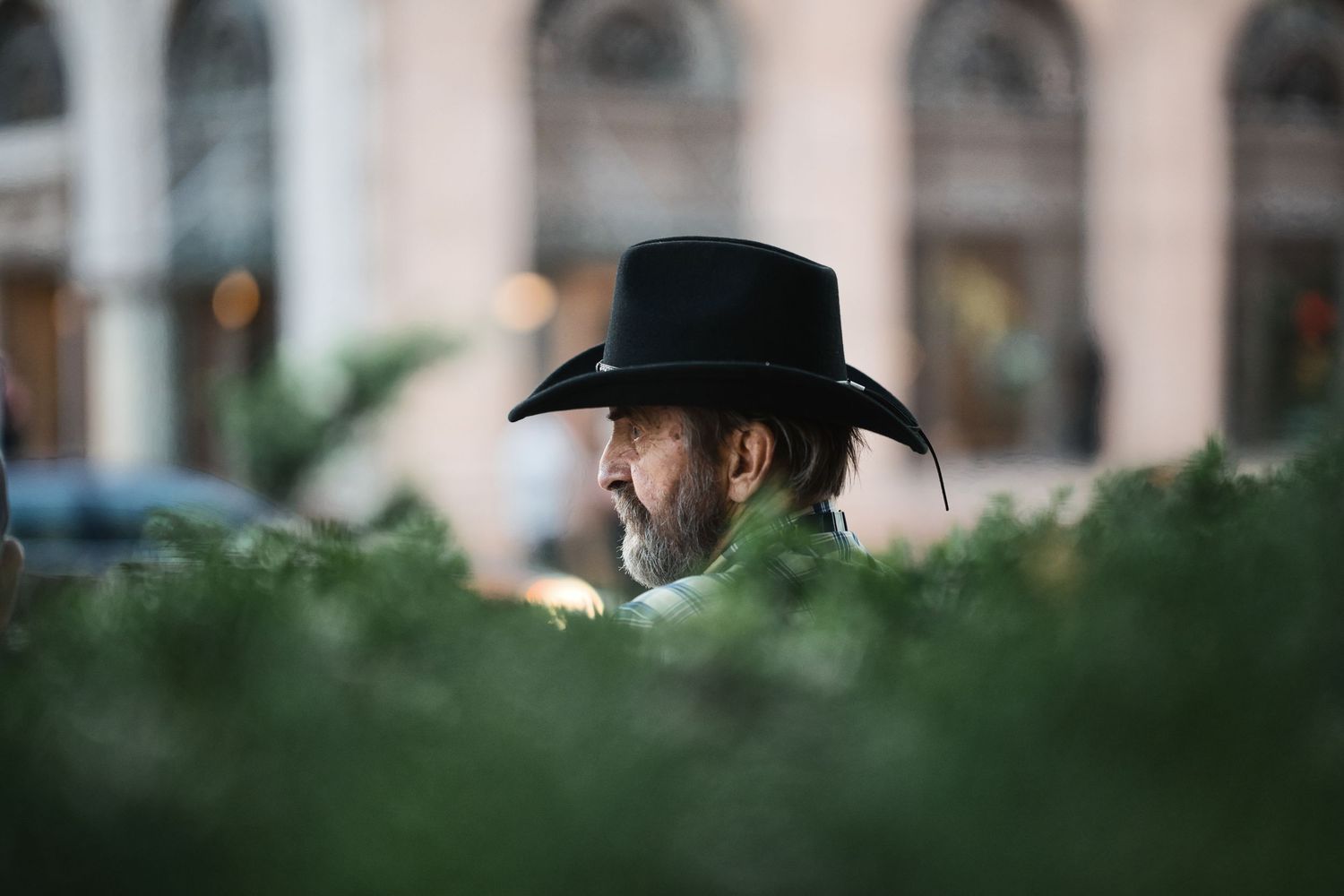 Man in black cowboy hat with beard partially hidden by green foliage in urban setting.