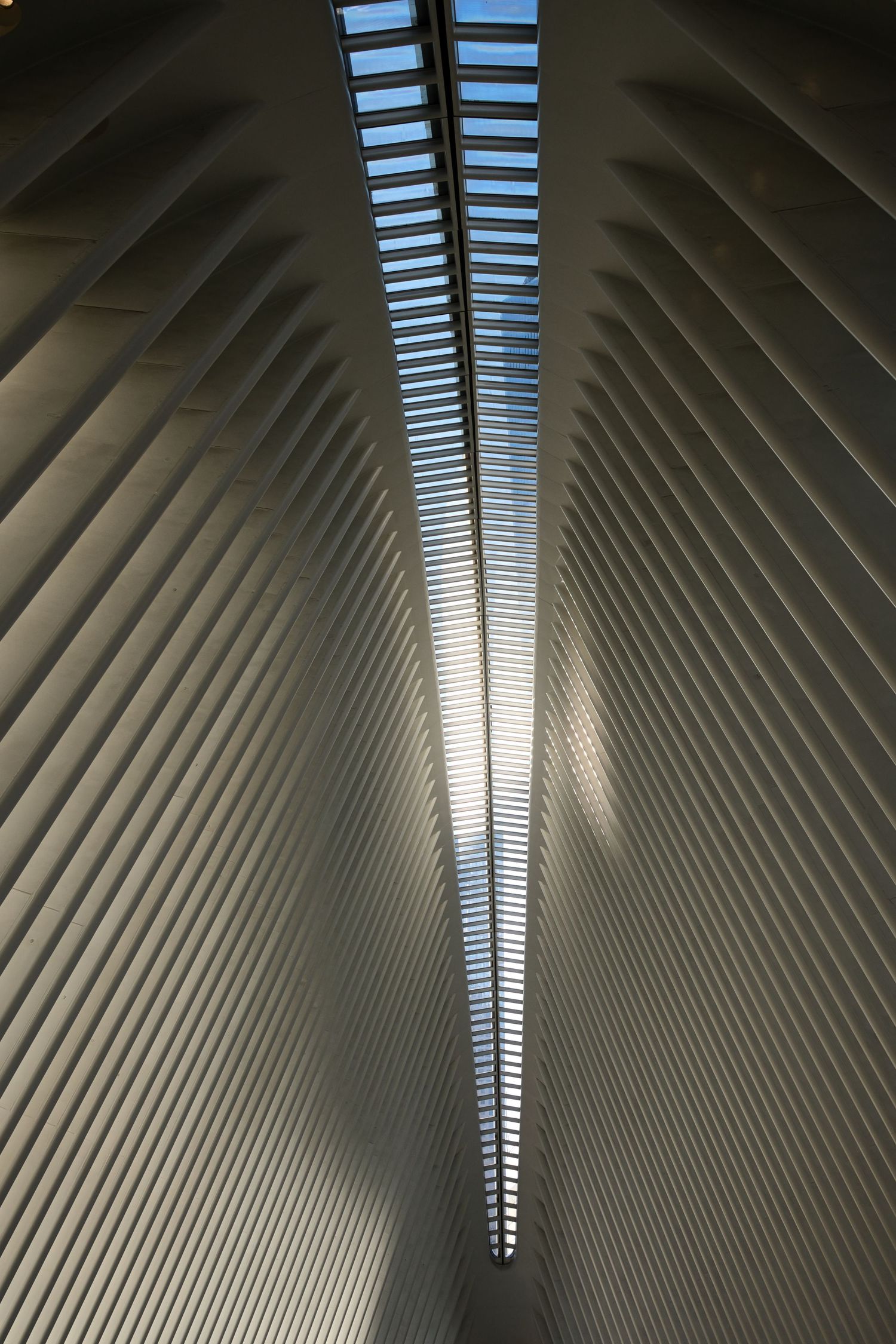 Interior view of the Oculus at World Trade Center, featuring white ribbed arched ceiling with a narrow skylight.