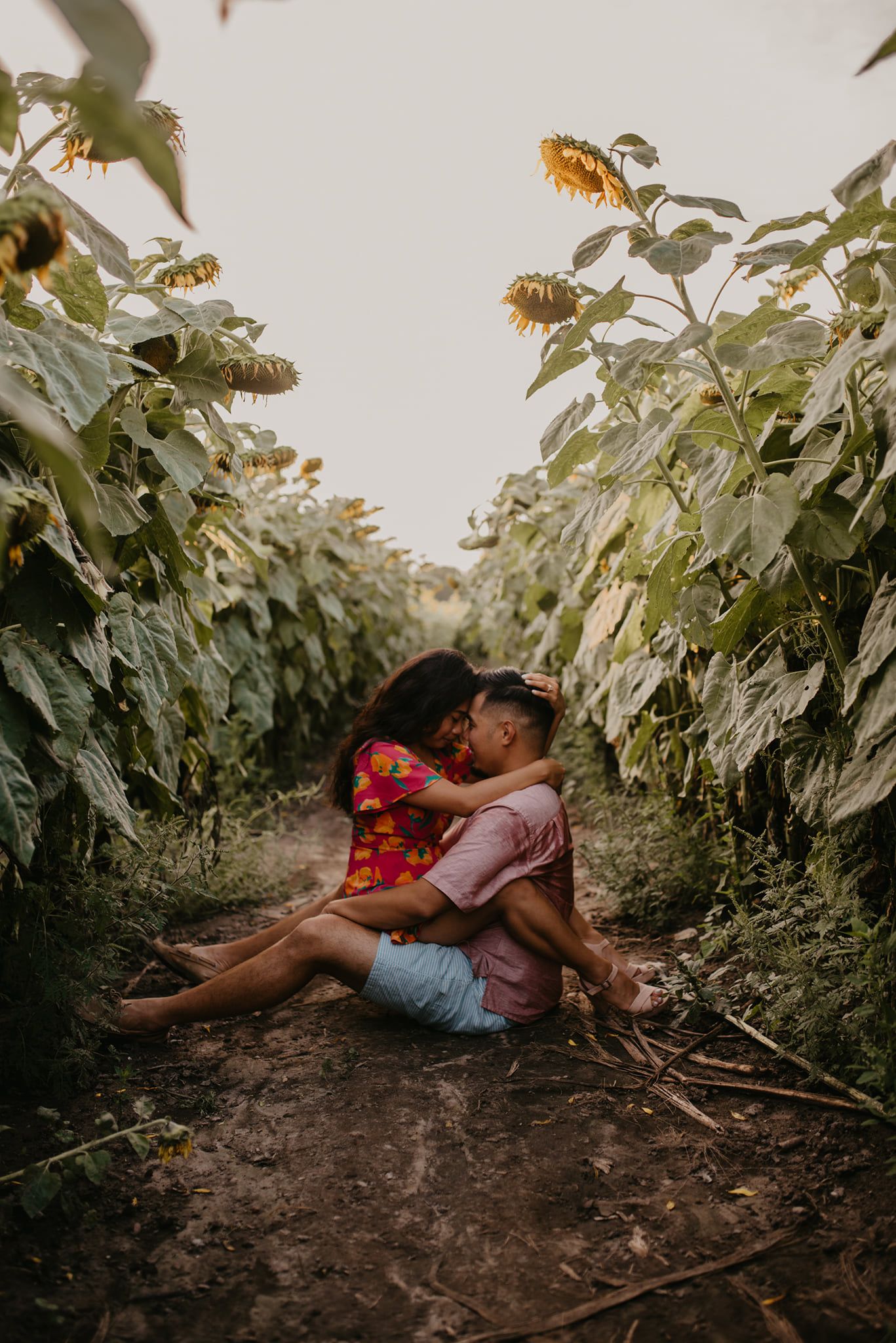 Couple sharing a kiss while sitting on ground between tall sunflower rows in a garden.
