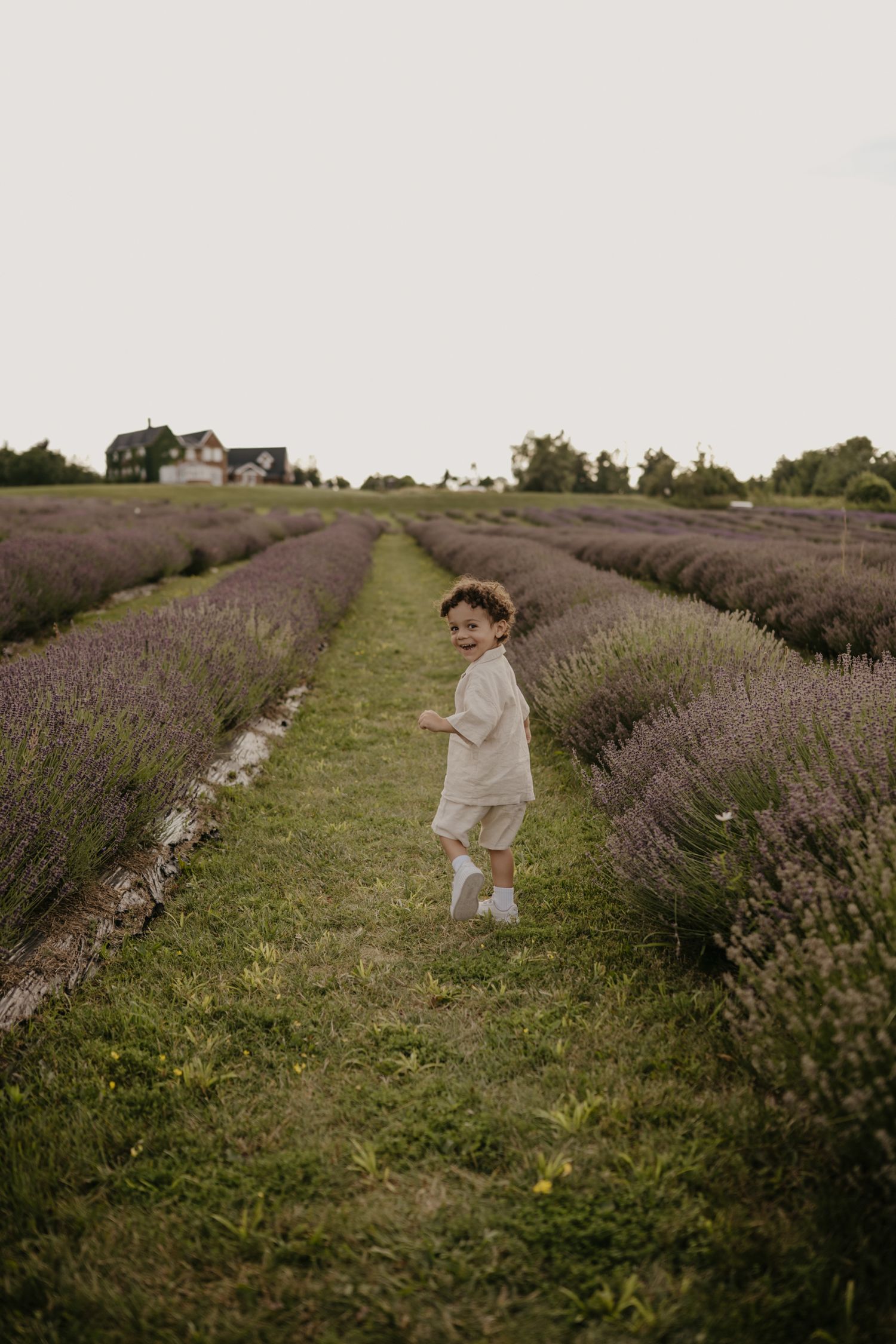 Curly-haired toddler in beige outfit running between rows of lavender in a field.