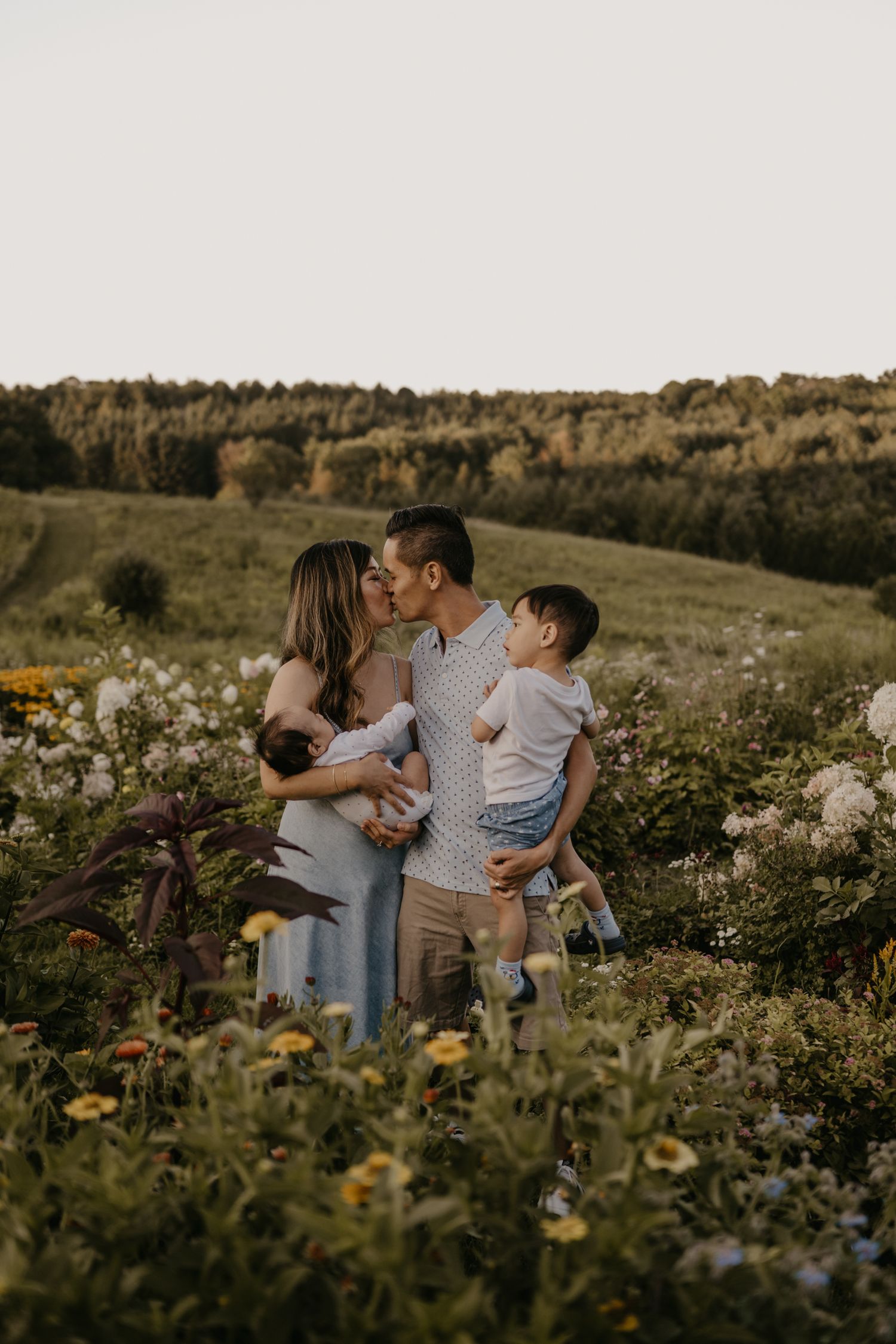 A couple kisses in a wildflower field while holding their two young children at sunset.