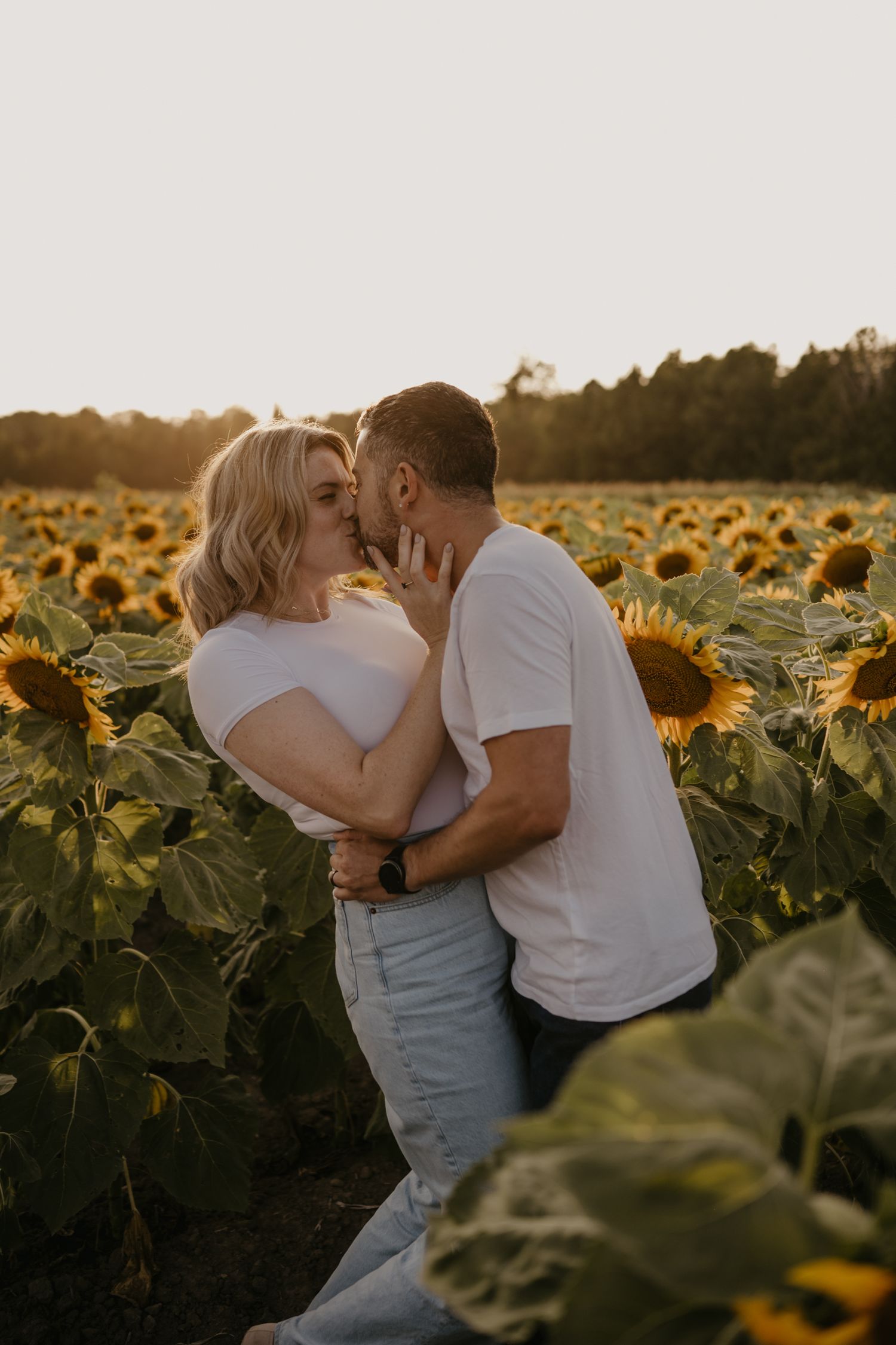 Couple kissing romantically in a sunflower field during golden hour sunset, both wearing white tops.