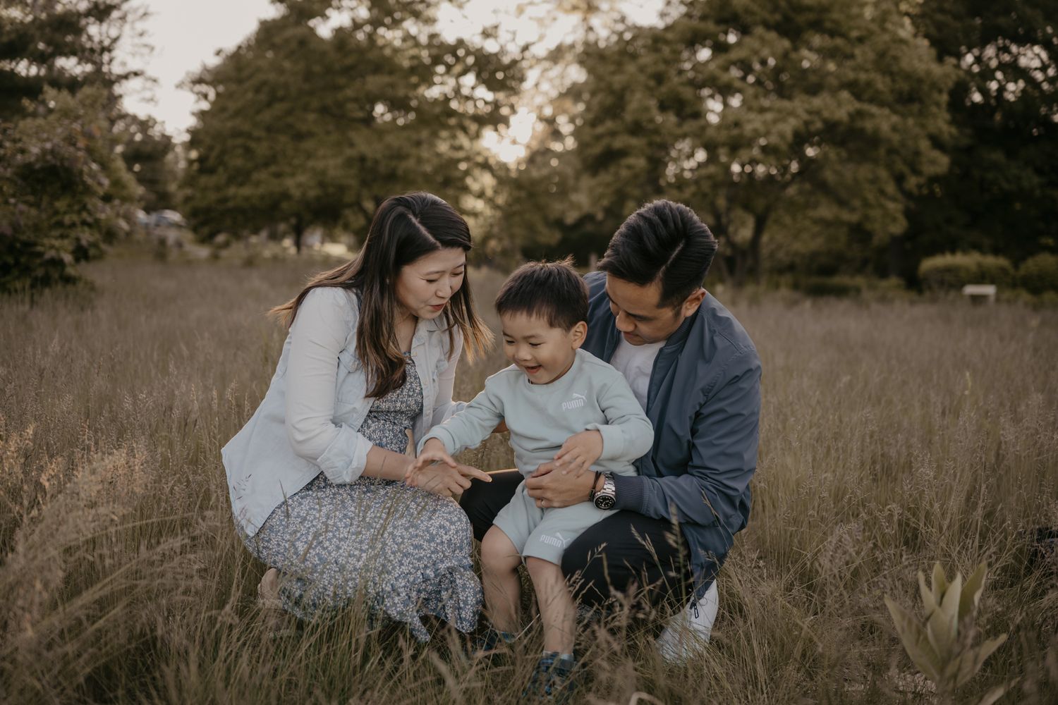 A young family of three sits together in a golden meadow, sharing a tender moment.