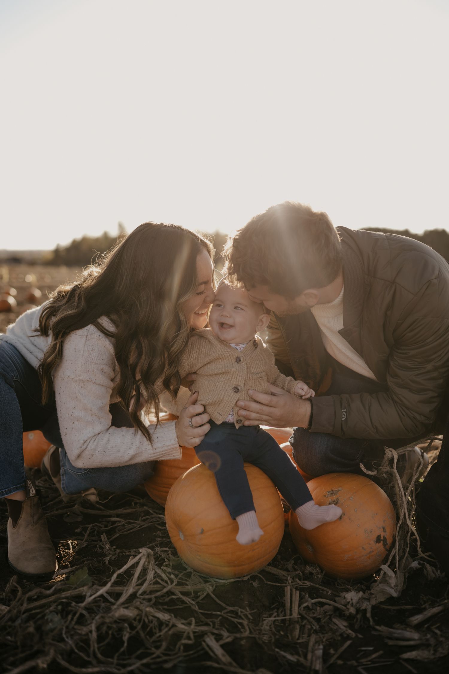 Family with baby sitting among pumpkins in golden sunlight at a pumpkin patch.