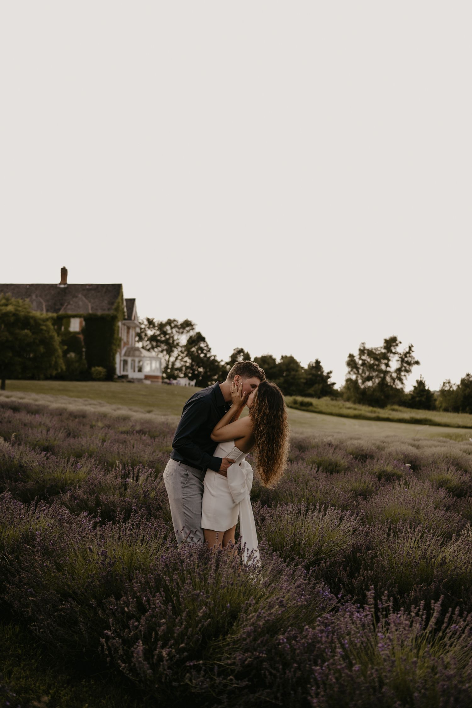 Couple sharing a romantic kiss in a blooming lavender field at golden hour.
