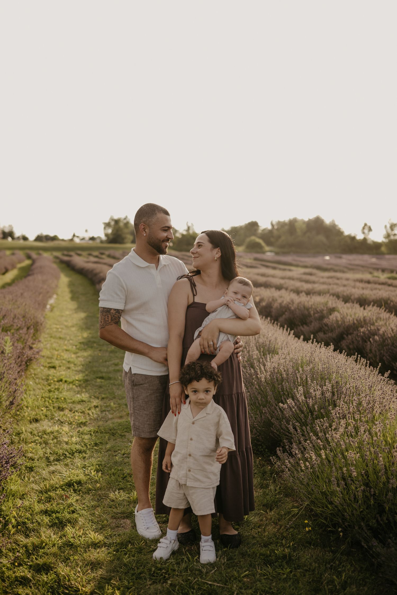 Young family of four standing together on a path through a lavender field at sunset.