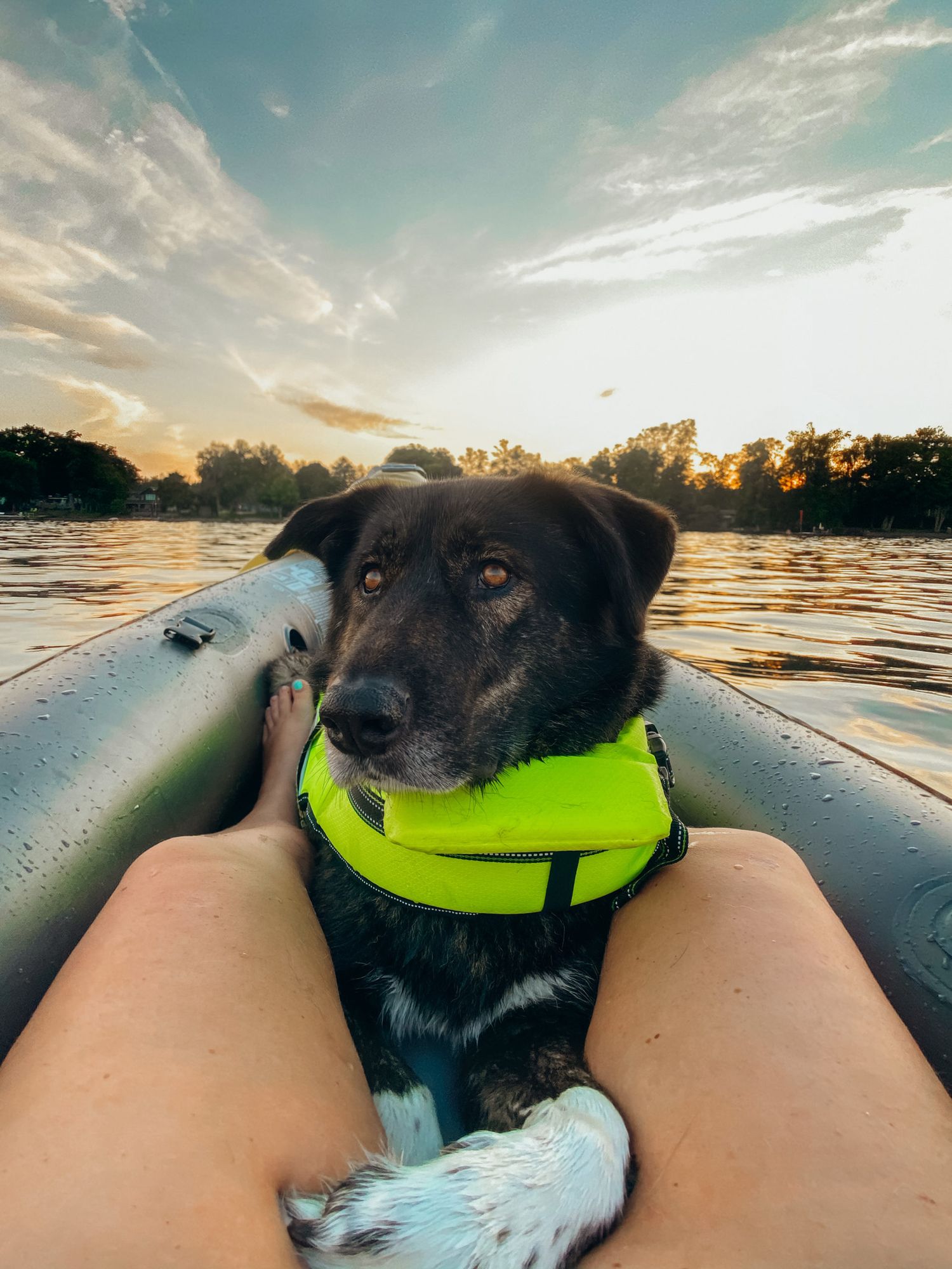 Black dog wearing a neon yellow life jacket resting on a kayak during a scenic sunset on the water.