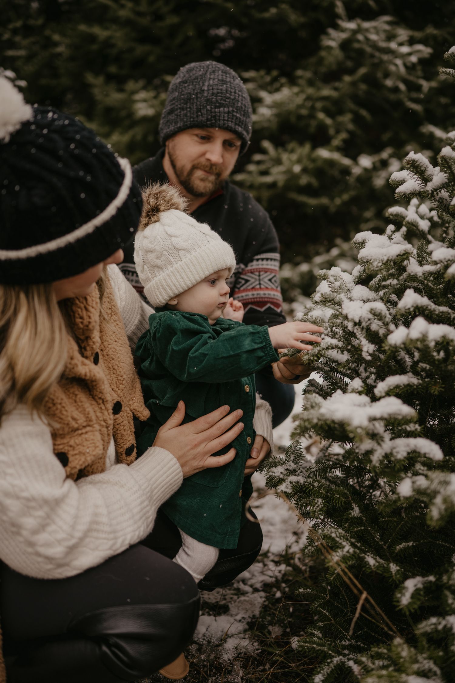 Family in winter hats touching snow-covered Christmas tree at a tree farm during snowfall.
