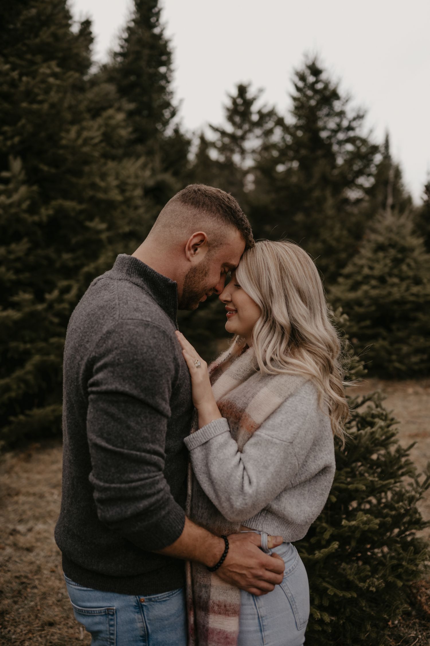 Couple embracing forehead-to-forehead among evergreen trees at a Christmas tree farm in cozy winter sweaters.