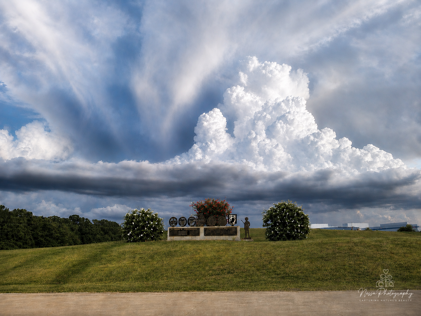 Large storm clouds over a grassy area
Towering white and gray storm clouds rising above a grassy landscape.