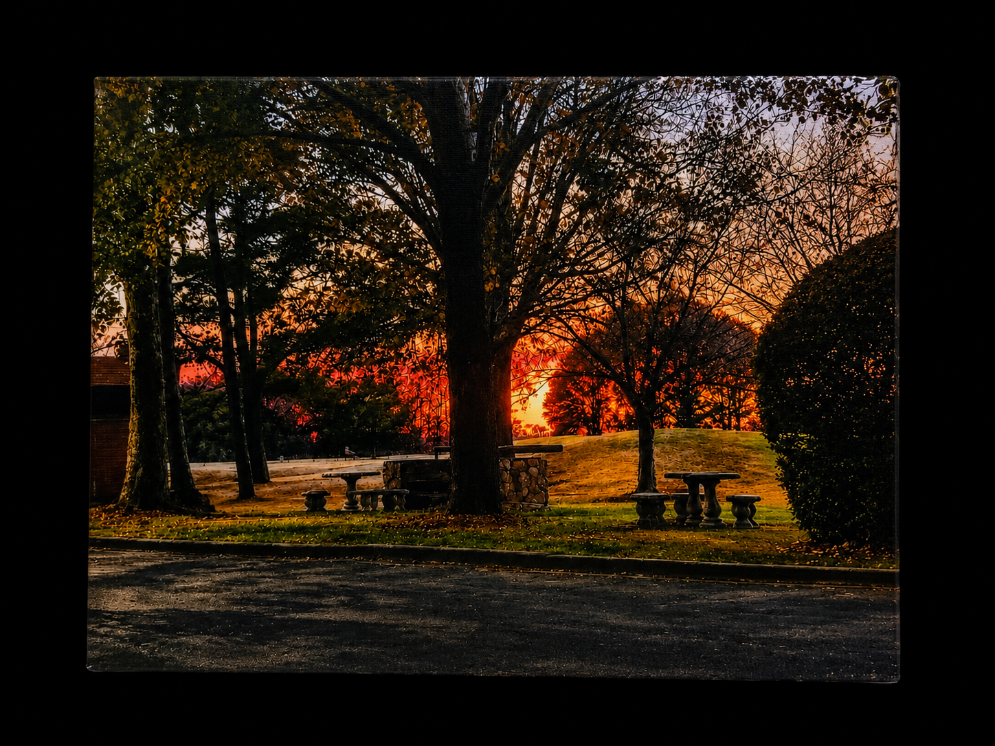 Sunset through trees
Warm sunset glowing through trees over a quiet outdoor scene.