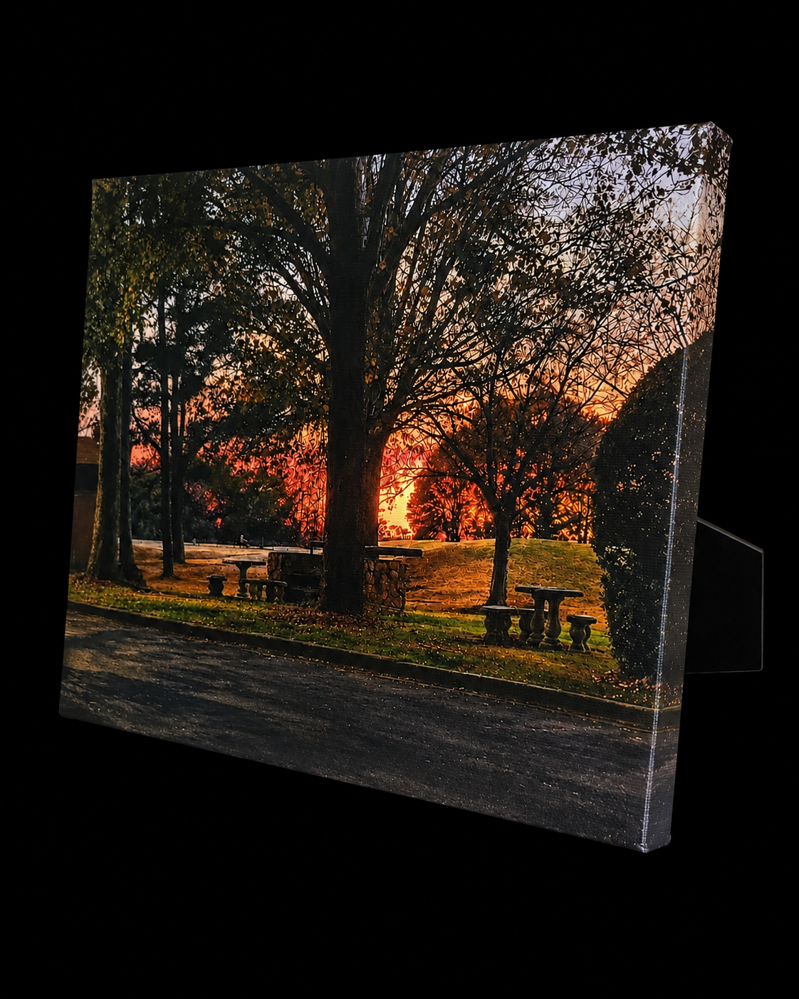 Sunset canvas mockup
Canvas wall art featuring a warm sunset through trees on a dark display background.