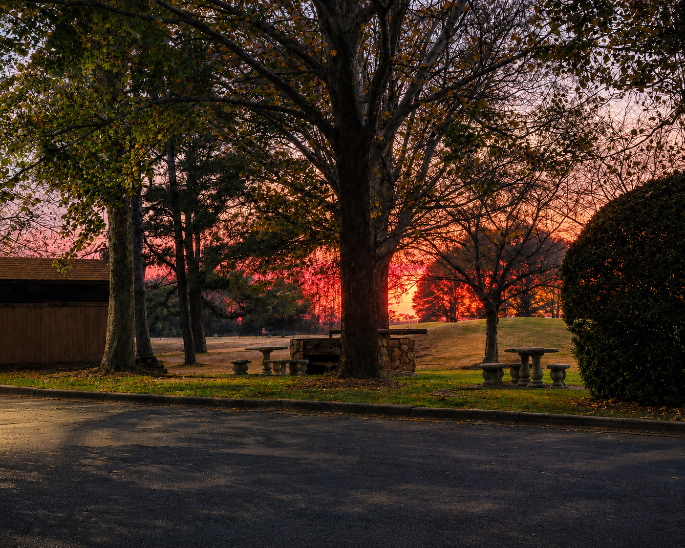 Sunset through trees
Warm sunset glowing through trees over a quiet outdoor scene.