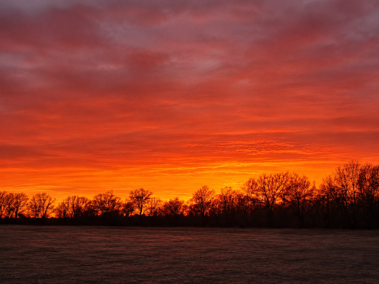 Red-orange sunset above tree silhouettes
Deep red and orange sunset glowing above a dark tree line.