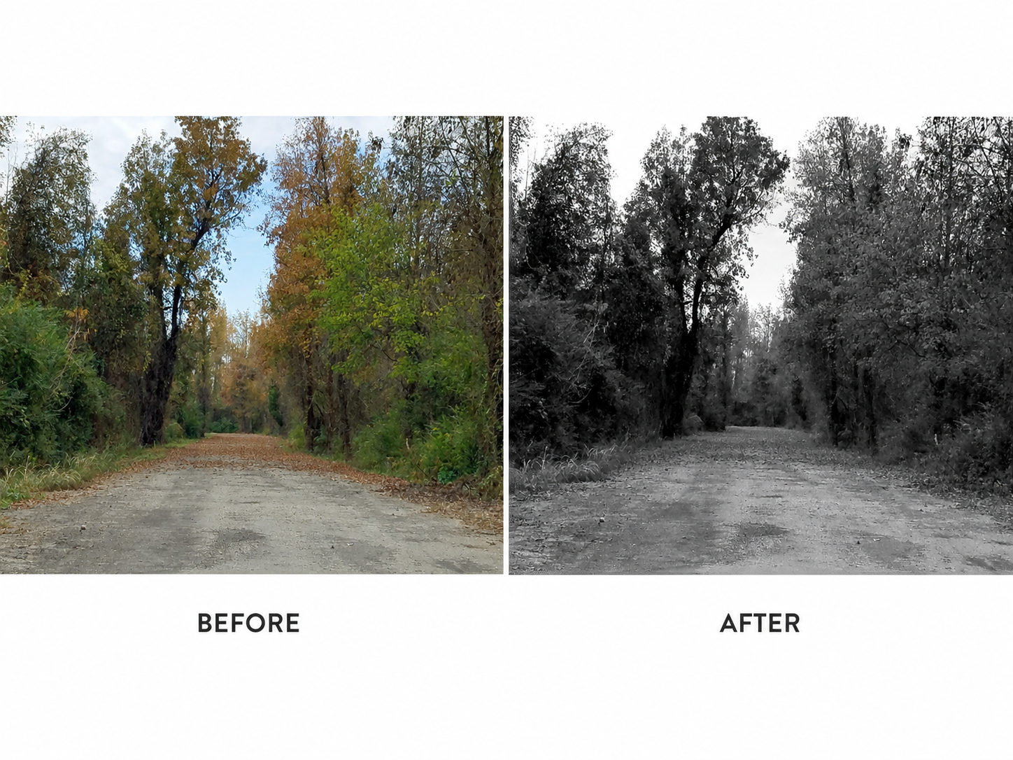 Before-and-after road edit
Before-and-after landscape photo edit showing a color road scene converted to black and white.