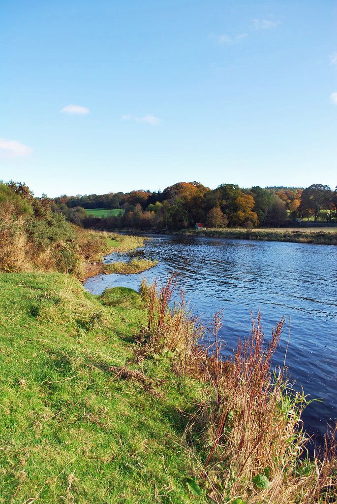 Scenic river landscape with lush green banks, autumn trees, and a clear blue sky on a sunny day.