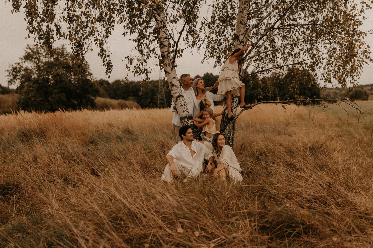 Family posing together in a golden meadow near a birch tree, children climbing branches, warm autumn outdoor setting.
