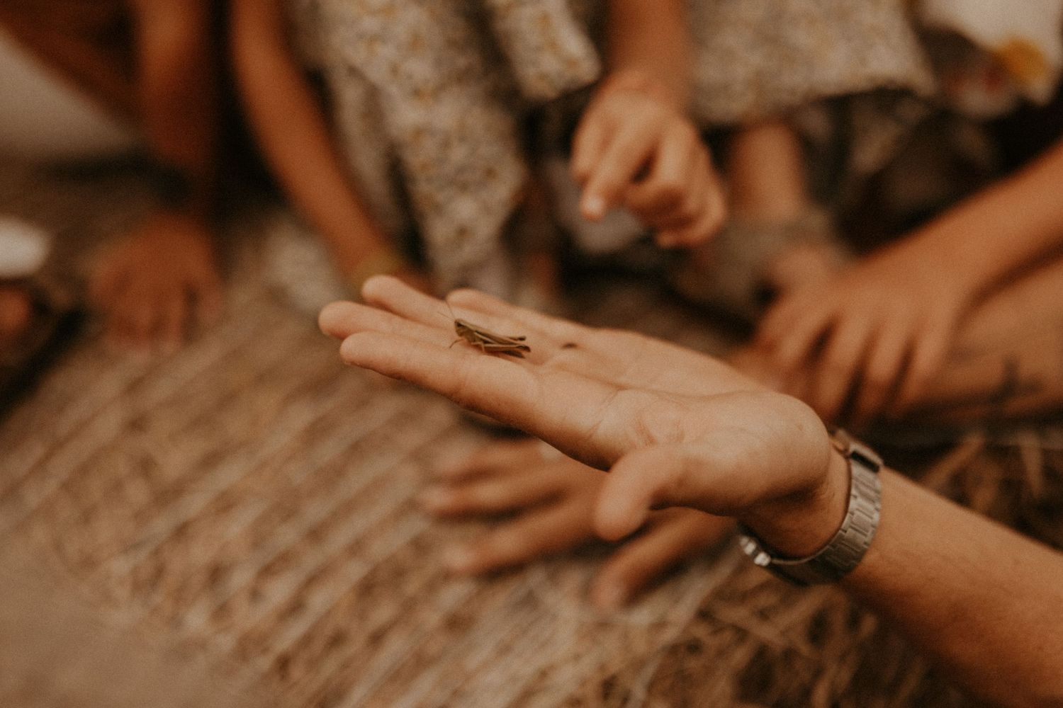 A small insect rests on an outstretched hand adorned with a silver bracelet, while children gather curiously in the background.