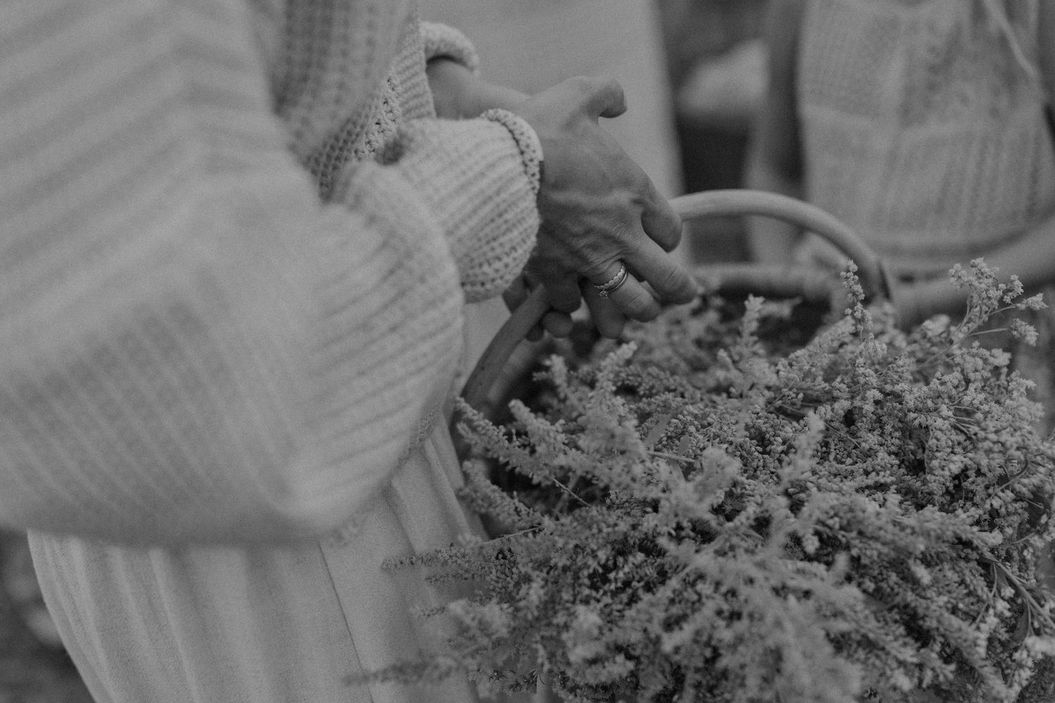 Black and white photo of hands in knit sweater arranging dried flowers in a wicker basket outdoors.