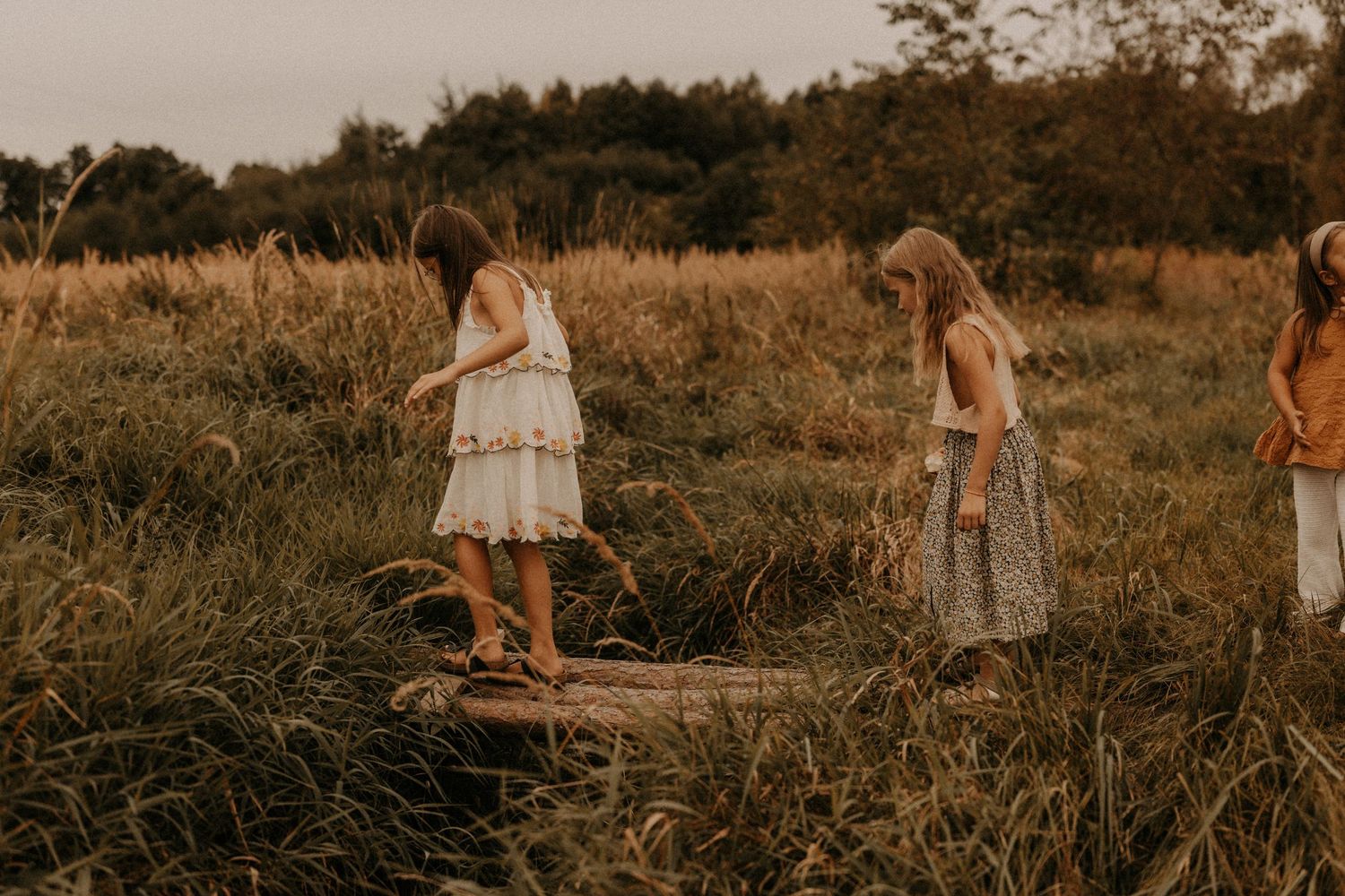 Two girls in summer dresses balance on a log in a golden meadow surrounded by tall grass and trees.