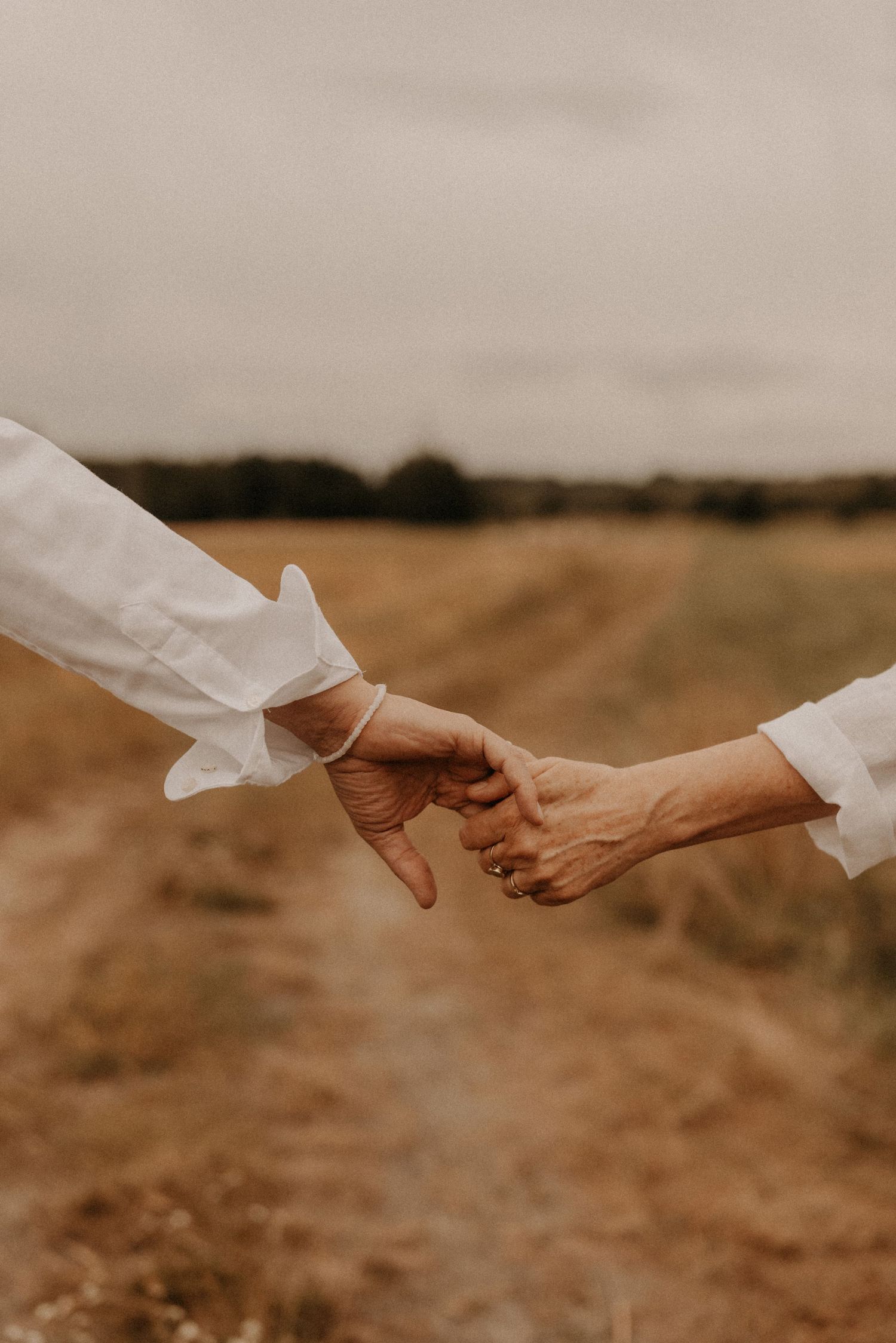 Two elderly people in white shirts gently hold hands in a golden field under an overcast sky.