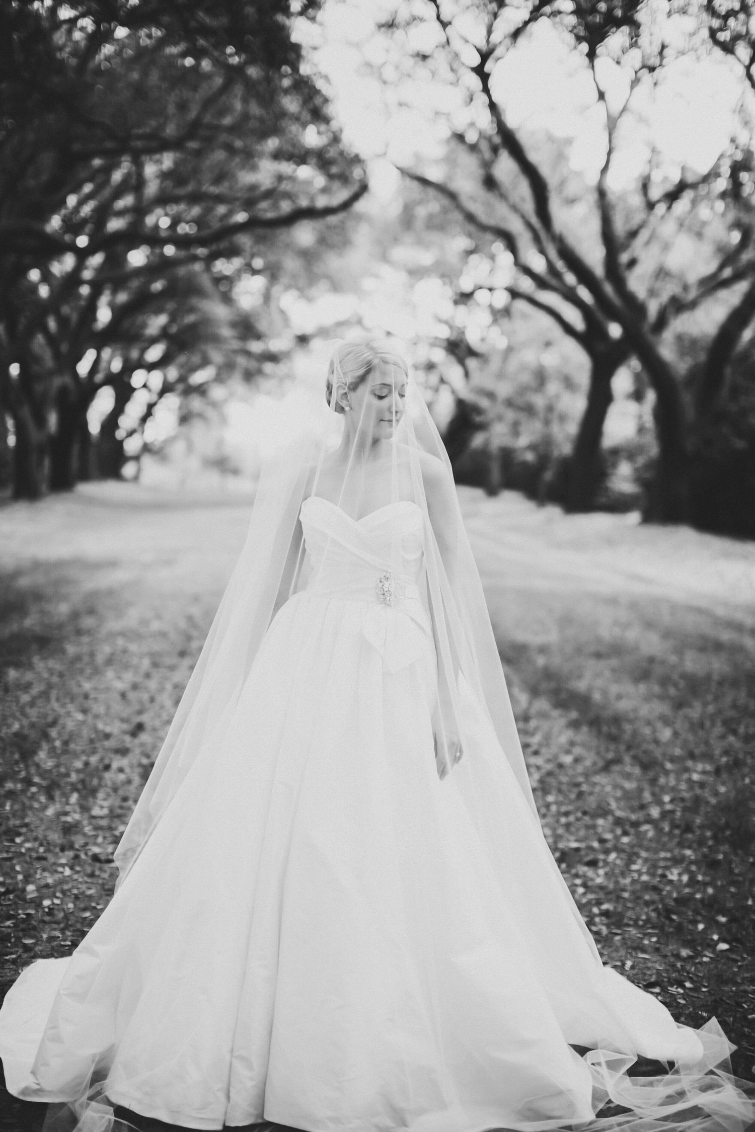 Black and white portrait of a bride in a ball gown and veil on a path lined with live oak trees, Legare Waring House