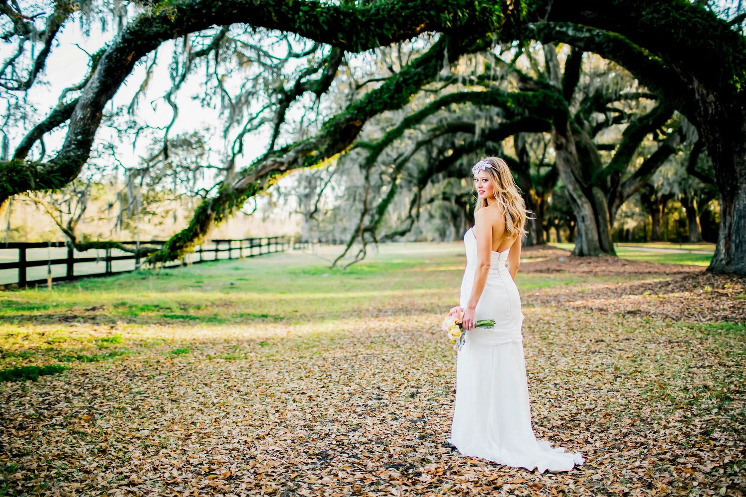 Woman in a white gown standing beneath a canopy of moss-draped live oak trees, boone hall plantation bride