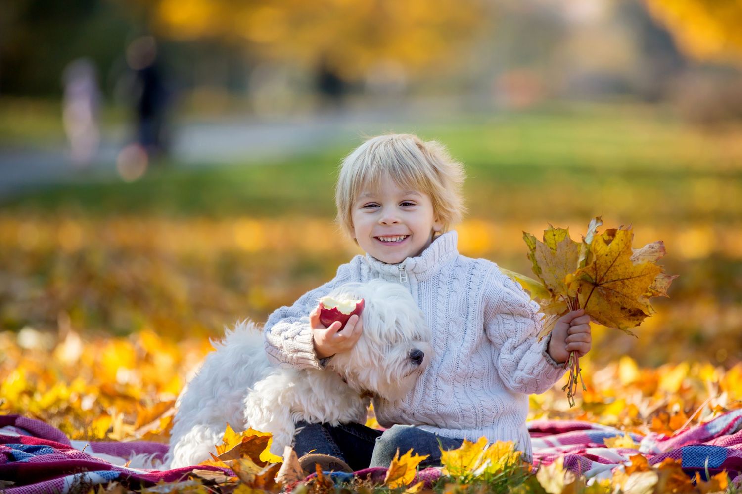 Smiling toddler holding autumn leaves sits with a white dog on a colorful fall blanket in a sunny park.